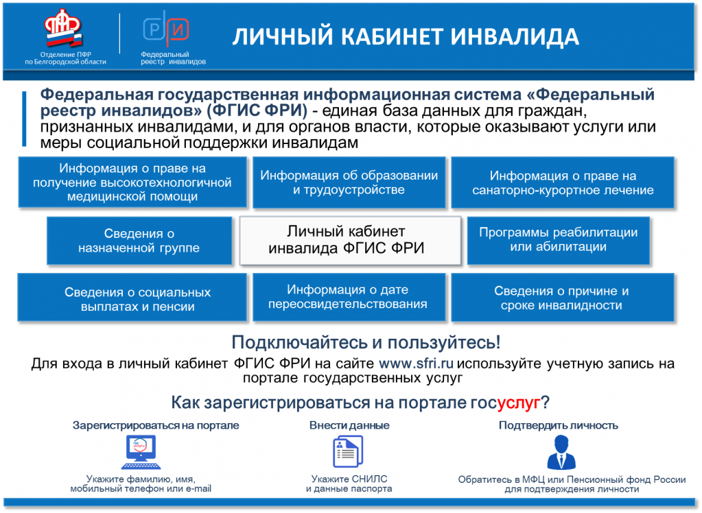 ФГИС ФРИ (горизонт).png